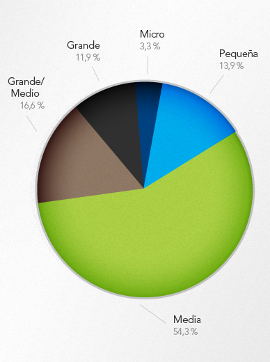 Gráfico de tamaño de las empresas